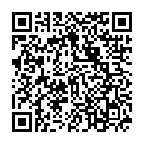 申し込み用QRコード