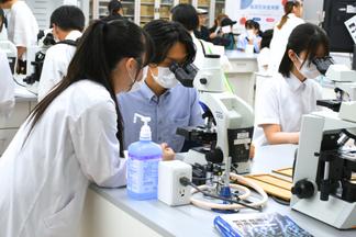 細菌標本を顕微鏡で観察してみよう