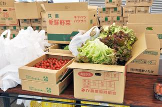 取れたての新鮮な野菜もたくさんご提供いただきました